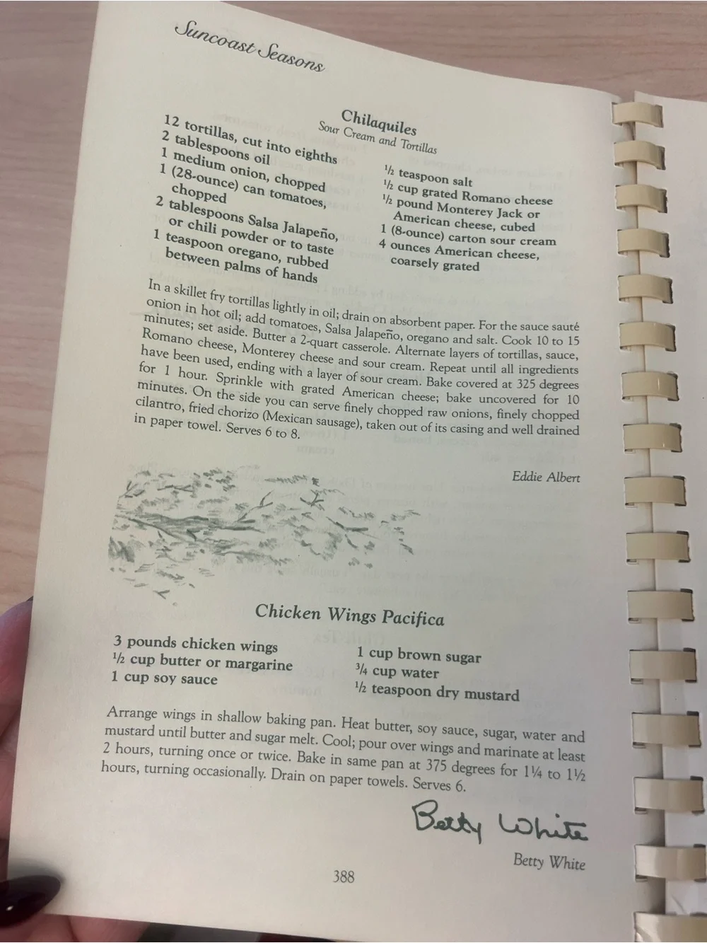 Suncoast Seasons Cookbook 1984 1st Print Vintage Florida Dunedin Recipes Spiral